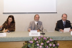 Vicenza (2009)